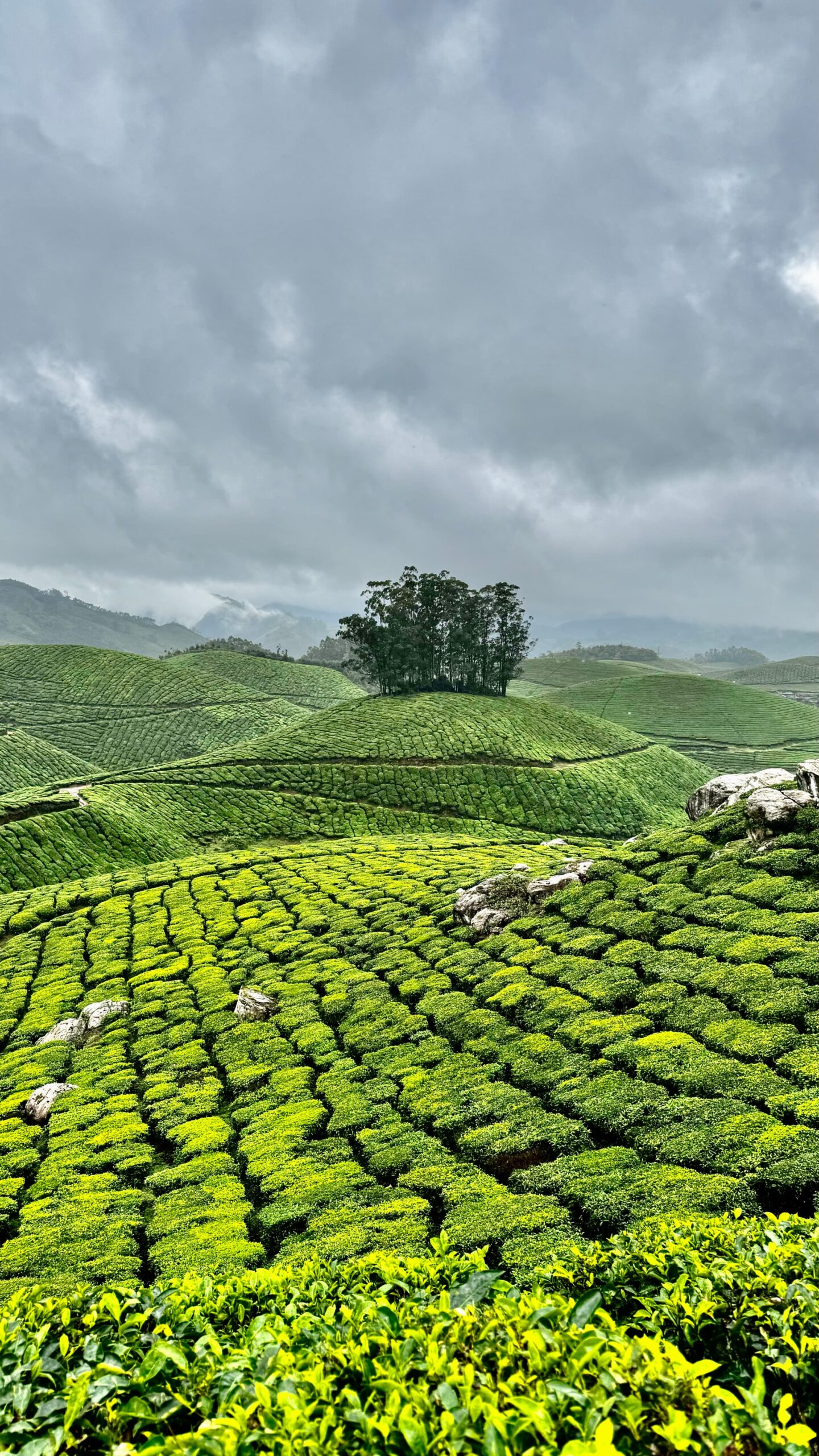 Munnar
